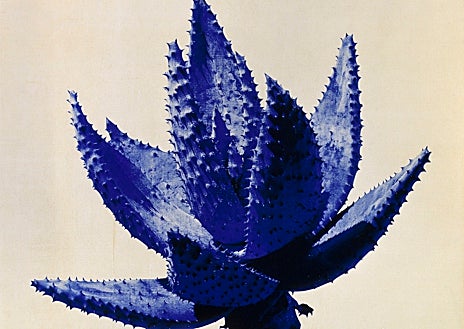 Imagen secundaria 1 - En las imágenes, algunas de las obras de Miquel Navarro de la revisión de su trabajo en el CACMálaga