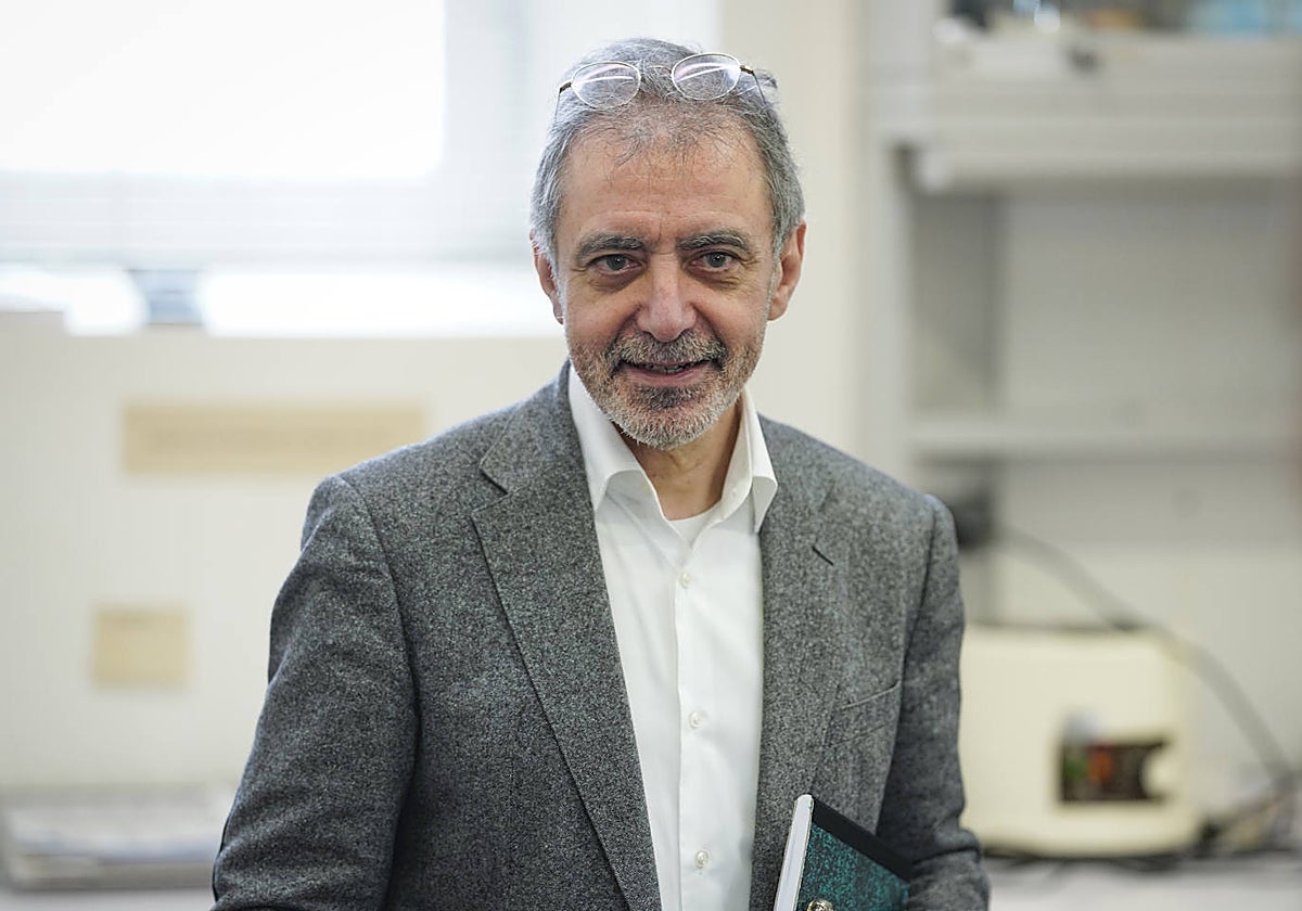 Manuel Borja-Villel, director del Museo Reina Sofía