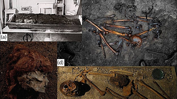 De izquierda a derecha y de arriba a abajo, ejemplo de momia de pantano (Rabivere, Estonia); restos óseos desarticulados de la matanza de Alken Enge; la cabeza cortada de una momia de pantano (Stidsholt, Dinamarca), y  esqueleto de pantano (Luttra, Suecia)