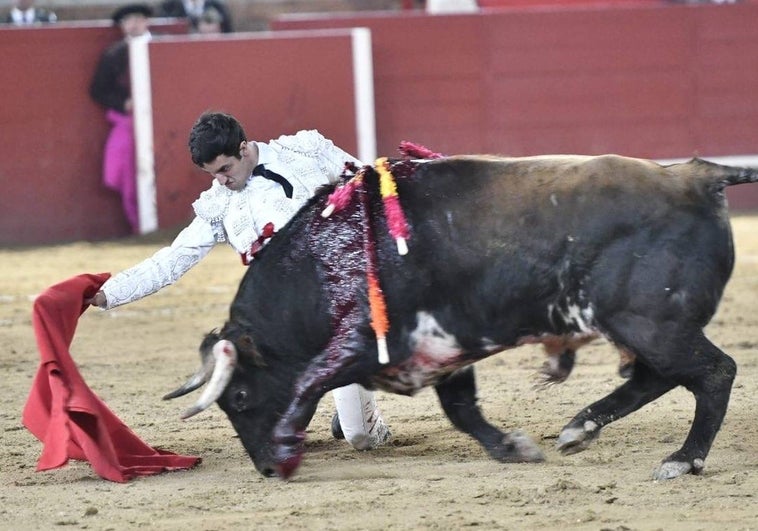 La novillada de Mayalde da una lección a las corridas de Valdemorillo