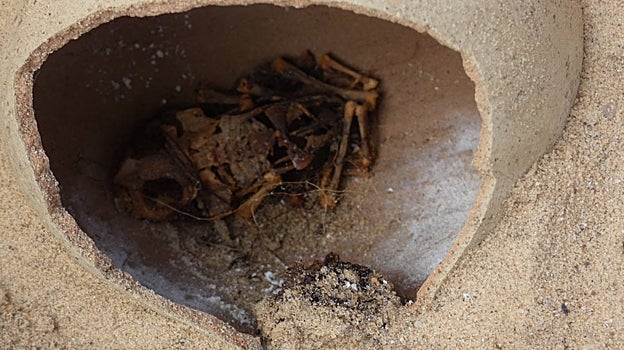 El esqueleto completo de una rana hallada en una cerámica, símbolo de la resurrección