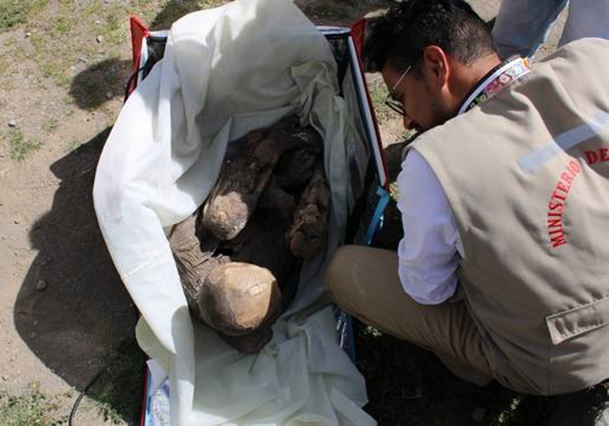 La momia hallada en la bolsa térmica de un repartidor en Perú