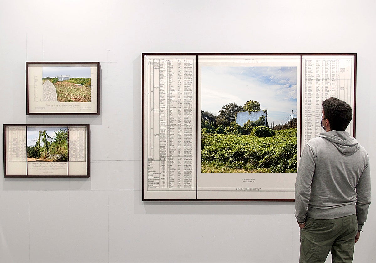 Un joven observa las obras de Linarejos Moreno en el Museo