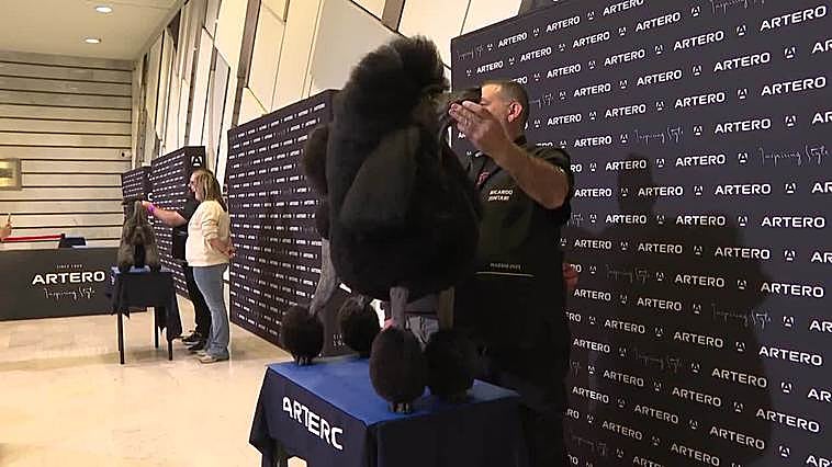 IFEMA acoge el mayor show de peluquería canina de España