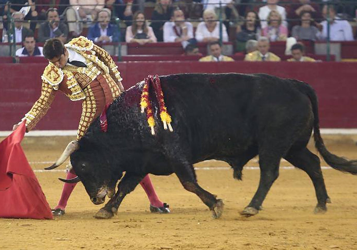 Miguel Ángel Perera, en el coso de la Misericordia