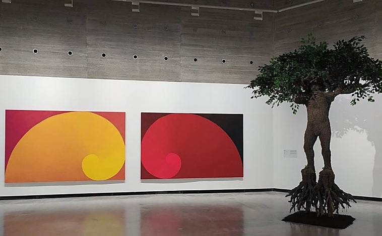 Imagen principal - Sobre estas líneas,algunos de los proyectos de la exposición, como la regadera 'reguetonera' y el dedicado al tomaco