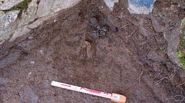 El hallazgo del tesorillo