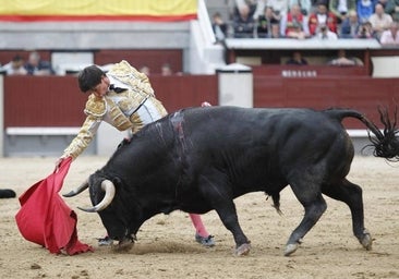 San Isidro en directo: El Payo, Espada y Román, con toros de Algarra