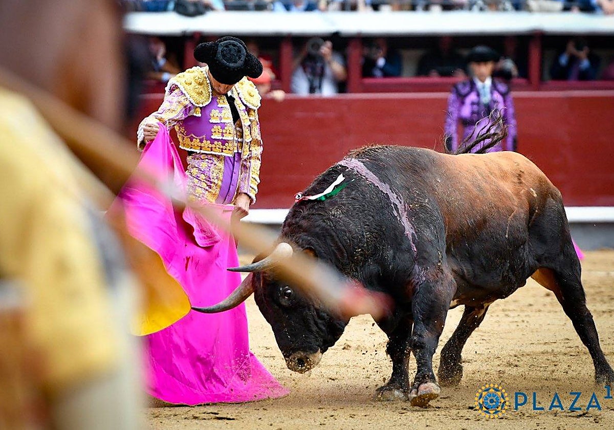 Pablo Aguado acaricia la embestida de Guajiro a la verónica