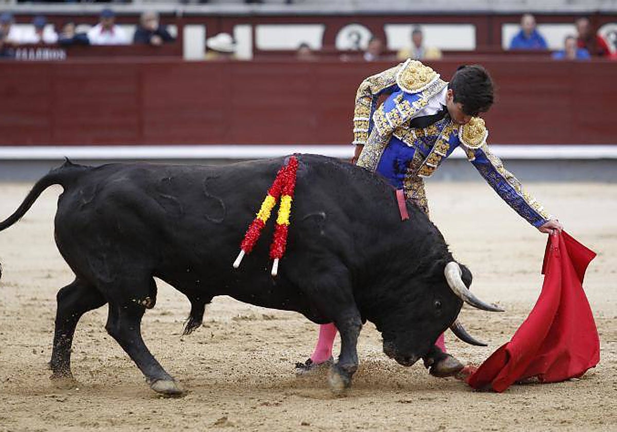 Álvaro Lorenzo, en Las Ventas
