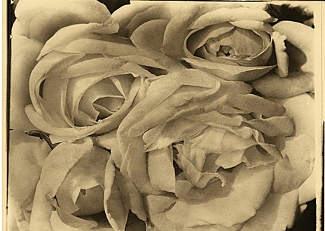 Imagen secundaria 1 - Sobre estas líneas, 'Rosas' (1924) y 'Elisa' (1924). Arriba, 'Hombre con madero' (1928)