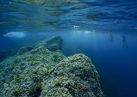 Imagen secundaria 1 - Imágenes de los pecios descubiertos y del arrecife Keith
