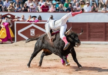El doctor Crespo: «La cornada a Juan del Álamo le atravesó todo el muslo»