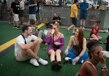 La queja viral de una artista por esta actitud habitual en los festivales de música: «Gente, se ve todo desde el escenario»