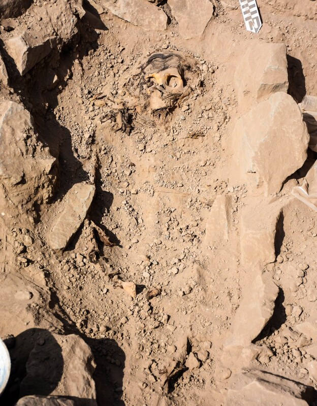 Hallan una momia Manchay de hace 3.000 años a las afueras de Lima