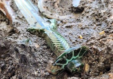 Hallan una fabulosa espada de la Edad del Bronce en Alemania