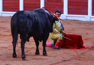 Gijón, taurina