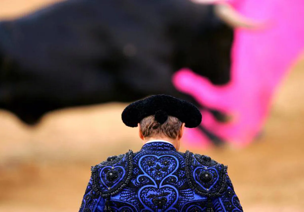 Toro y torero en la plaza