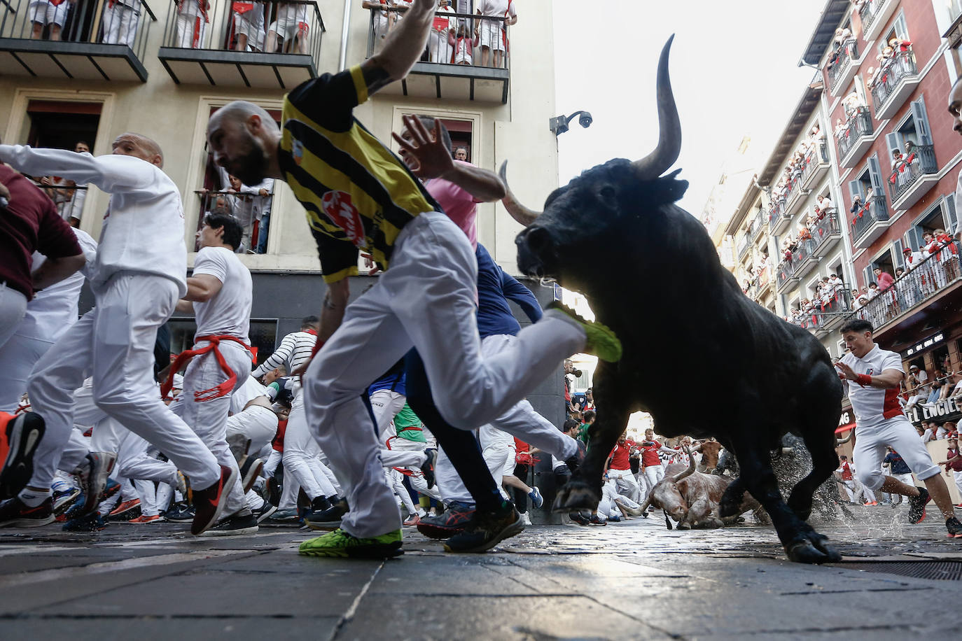Los toros de la ganadería de José Escolar a su paso por la curva de Mercaderes en el segundo encierro de los sanfermines 2023