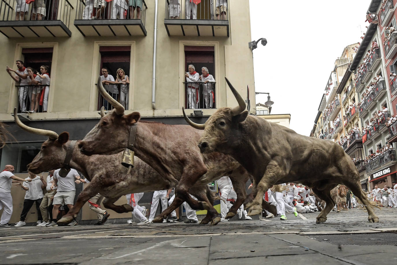 La manada de la ganadería de Núñez del Cuvillo a su paso por la curva de Mercaderes durante el quinto encierro de los Sanfermines 2023