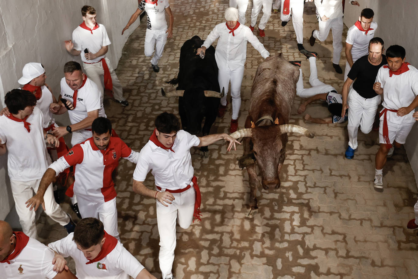 El momento de la entrada  de los mozos a la plaza,﻿ perseguidos por toros de la ganadería Jandilla 