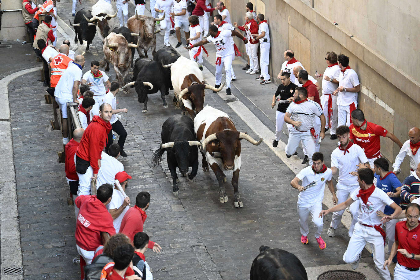 El paso de la manada durante el séptimo encierro de las fiestas de San Fermín, este jueves 