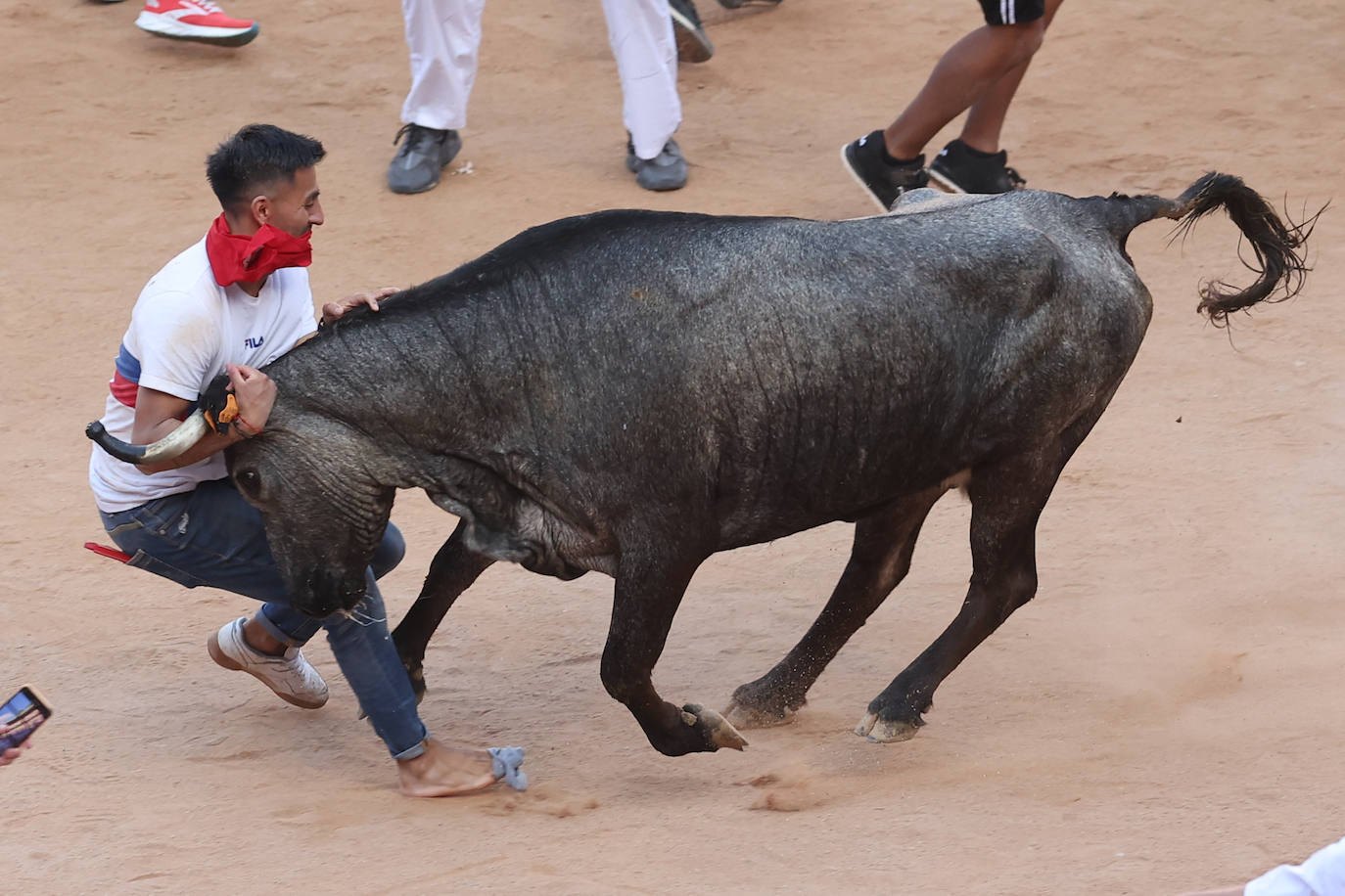 Mozo embestido en la plaza de toros, este jueves