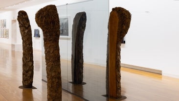 'Trabajo en equipo. 30 años del CGAC. Una historia posible del CGAC'