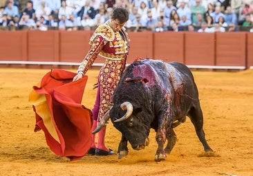 ¿Qué le falta a Daniel Luque?