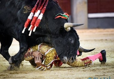 Final de las nocturnas en Las Ventas: Peñaranda se alza triunfador y Parejo sufre una grave cornada
