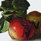 Fricciones del español global