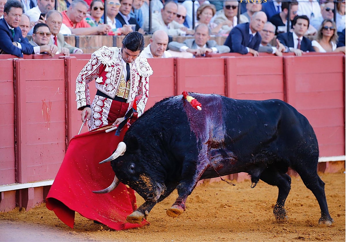 Inicio de faena del sevillano al primer de esta tarde en la Maestranza