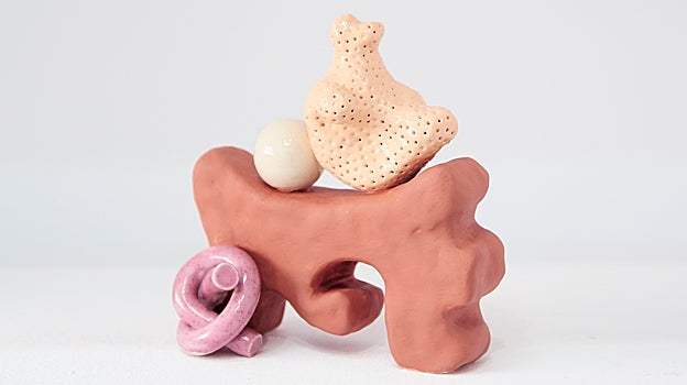 Ana Rod: «Huyo de lo artificioso y el trampantojo»