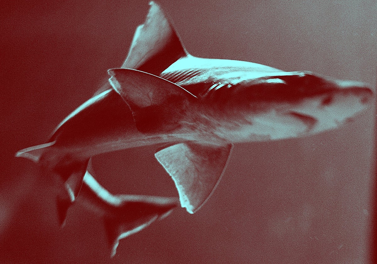 Imagen del conjunto 'On Healing', de Laia Abril