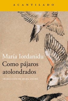 Imagen - 'Como pájaros atolondrados'