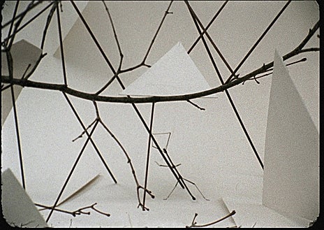 Imagen secundaria 1 - Sobre estas líneas, 'Phasmides' (2012) y 'La Pensée Féral'. Arriba, 'A Transparent Leaf instead of the Mouth' (2016-2017)