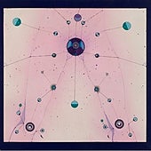 Zush en la galería MaisterraValbuena: Territorios imaginarios