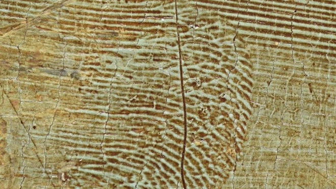 Huellas dactilares de Leonardo