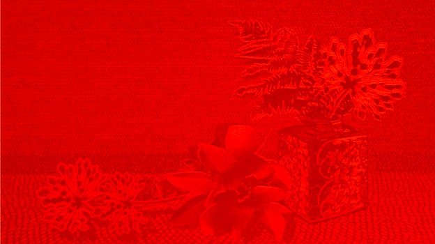 'Déjame de Pascuas', de Javier Garcerá