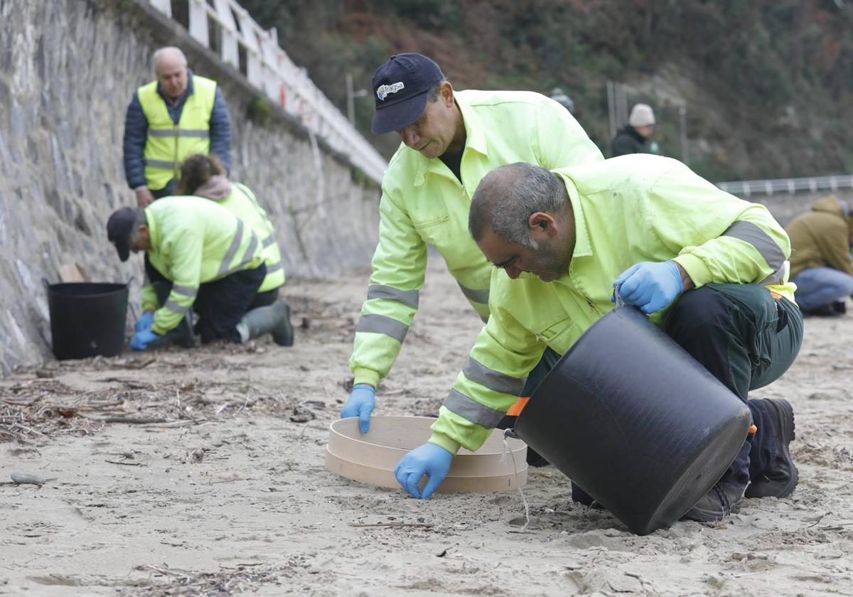 Voluntarios recogiendo virutas de plástico de las playas gallegas