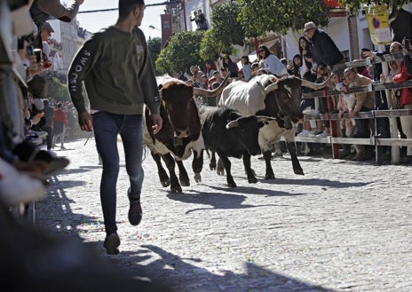 Imagen secundaria 1 - Arriba, Morante paseando por las calles del pueblo. Abajo, el encierro. A su derecha, la novillada de la que disfrutó Doña Elena