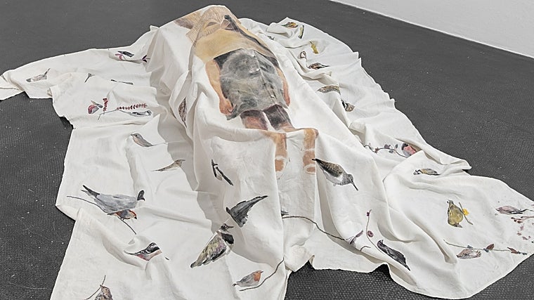 Instalación de la muestra en la galería