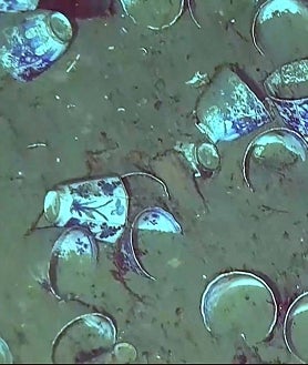 Imagen secundaria 2 - Restos del galeón San José