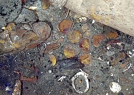 Imagen secundaria 1 - Restos del galeón San José