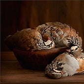 Entre croisants, jardínes y centros de arte