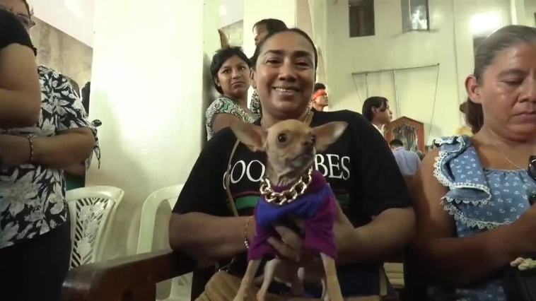 Perros disfrazados son bendecidos por San Lázaro en una iglesia de Nicaragua