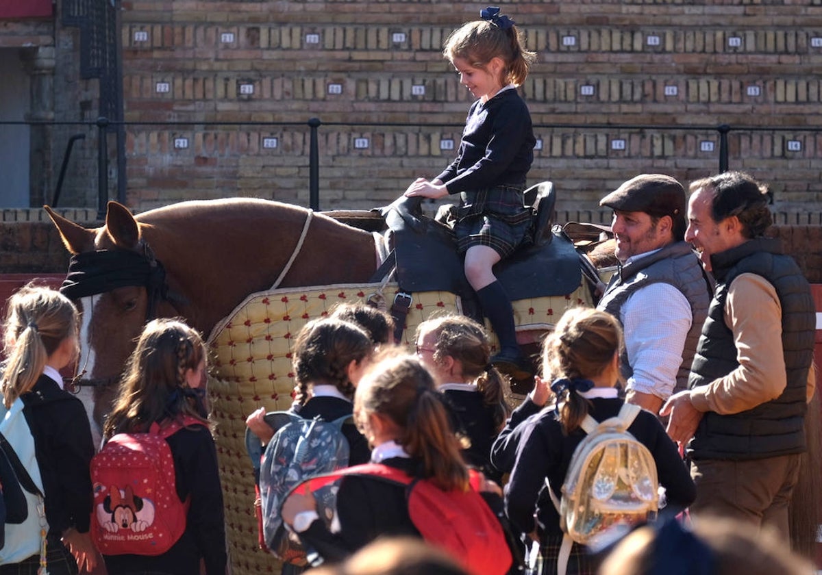 Los niños han disfrutado a lomos de un caballo de picar