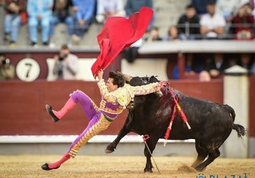 Tristán: nacido para ser protagonista