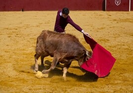 Daniel Luque torea en la finca de la ganadería de Juan Pedro Domecq en Sevilla, en imágenes