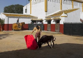 Pablo Aguado torea en el patio del cortijo de Hato Blanco Viejo en Sevilla, en imágenes